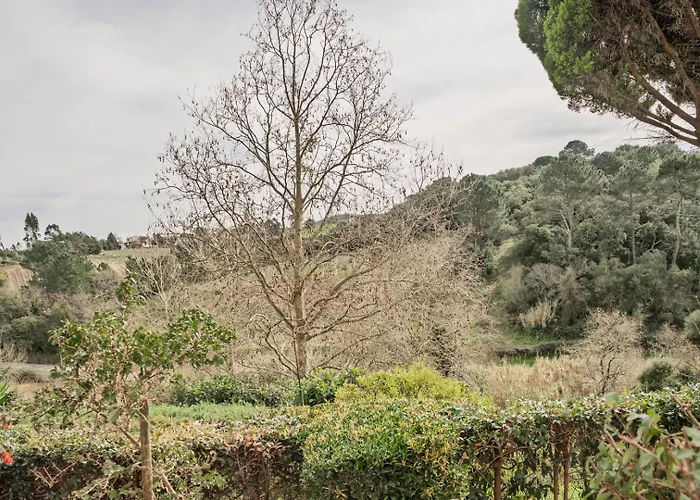 Bela Vista - Countryside *